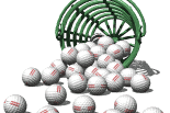 basket of golballs